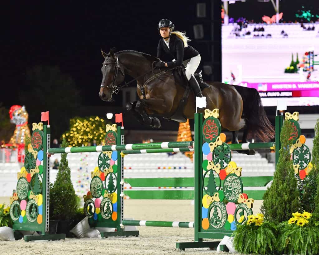 A rider in equestrian attire jumps a dark brown horse over a decorated green obstacle during a show jumping competition at night.