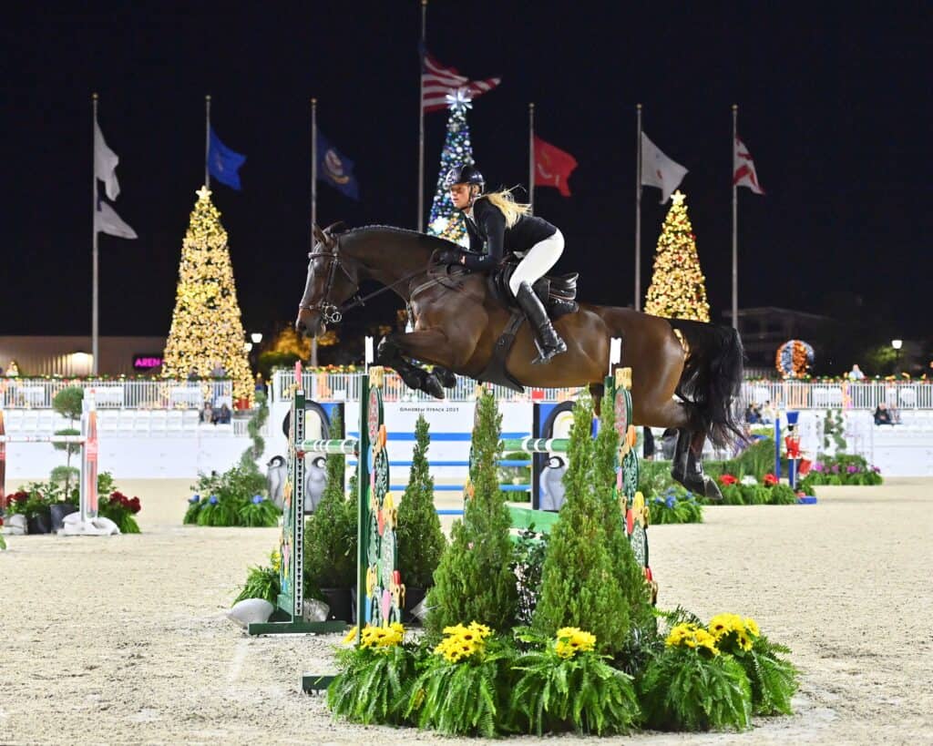 A rider on a dark horse jumps over an obstacle in a nighttime equestrian event, with decorated trees and flags in the background.
