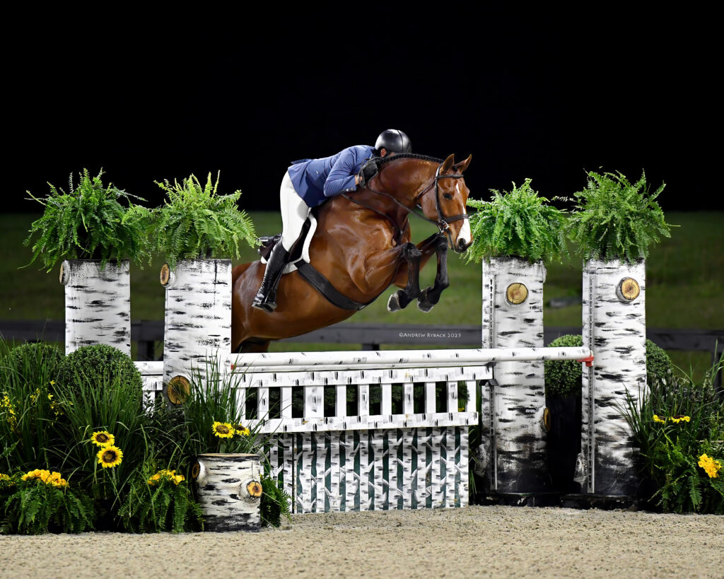 A horse and rider in mid-air jump over a white and black striped equestrian obstacle, surrounded by plants and sunflowers, during a nighttime event.