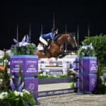A rider in blue jacket and helmet jumps a brown horse over an obstacle at the Longines FEI Jumping World Cup competition at night.