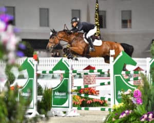 A rider in equestrian gear guides a brown horse over a green and white show jumping obstacle during a competition, with flowers and decorations visible around the course.