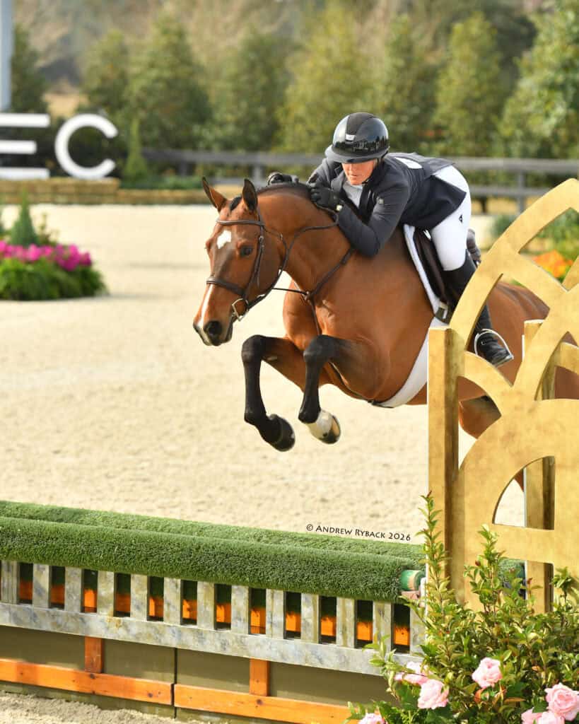 A rider wearing a helmet and blazer guides a bay horse over a jump during an equestrian competition in an outdoor arena.