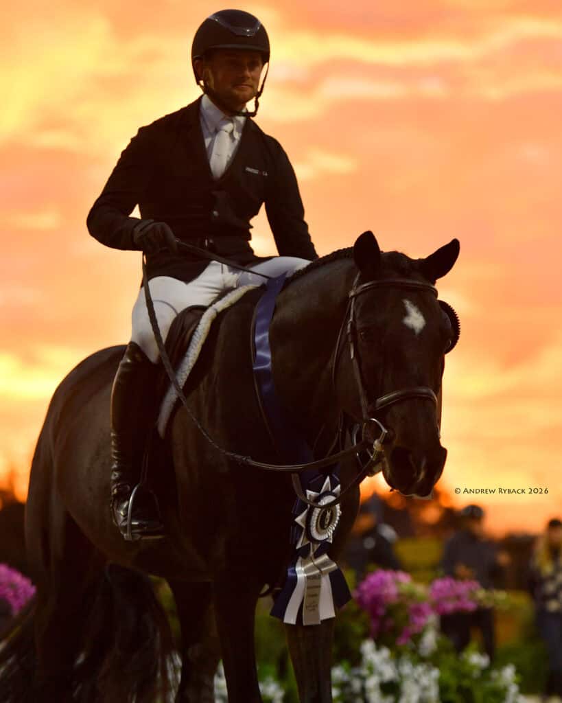 A rider in equestrian attire sits on a black horse with a winner's ribbon, set against a vibrant sunset sky.