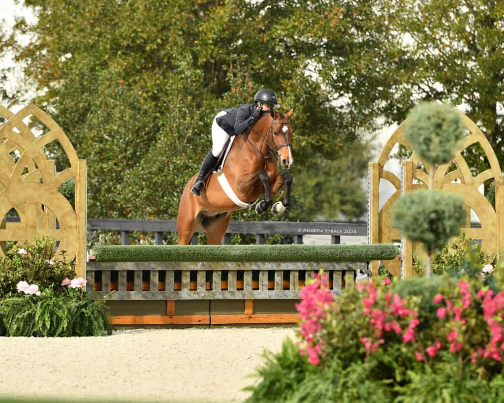 A rider in a black jacket and helmet jumps a brown horse over an obstacle during an outdoor equestrian event.