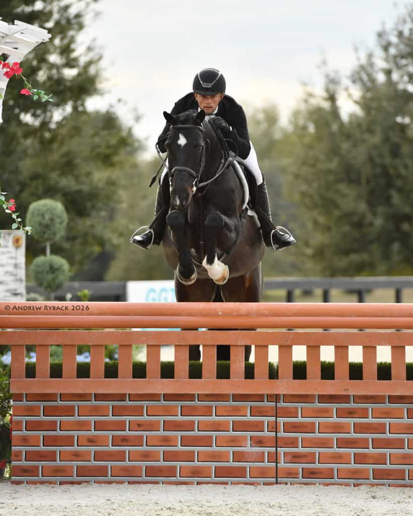 A rider in a black helmet and jacket guides a dark horse over a brick-patterned jump during an equestrian event, with trees visible in the background.
