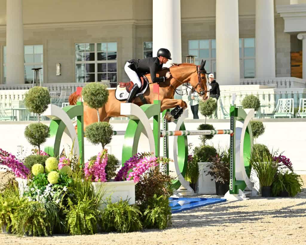 Equestrian rider and horse jump over a green and white obstacle during a show jumping competition, with plants and flowers in the foreground and a building in the background.