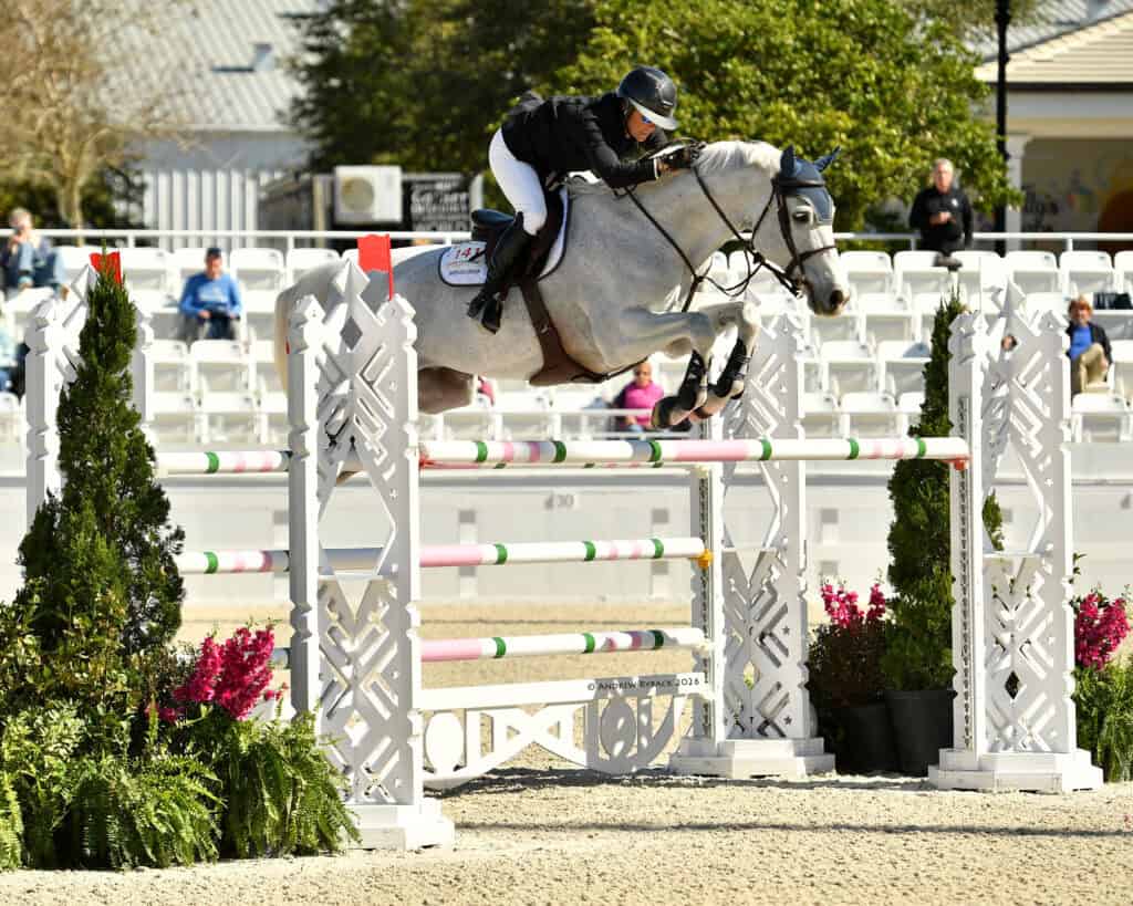 A rider in equestrian attire guides a gray horse over a show jumping obstacle in an outdoor arena with white fencing and a small audience in the background.
