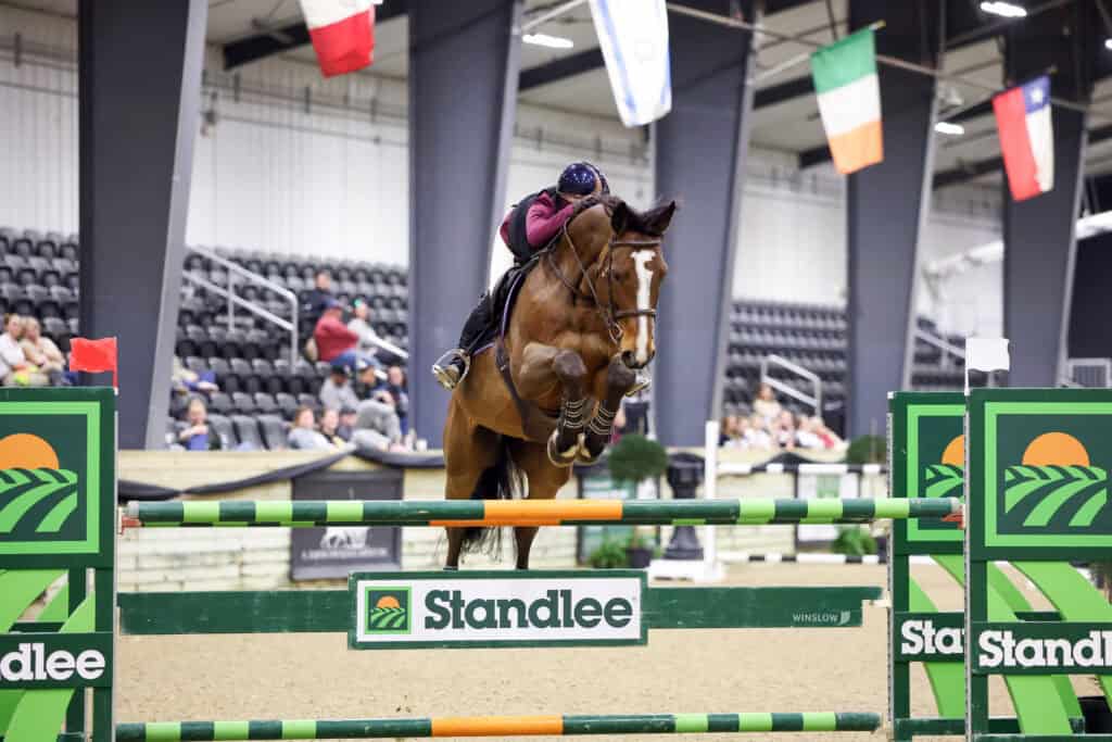 An equestrian rider on a brown horse jumps over a green "Standlee" obstacle in an indoor arena with empty and occupied seats in the background.