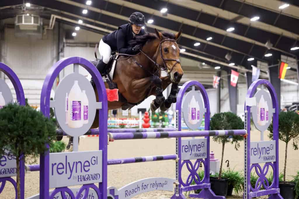 Equestrian rider on a brown horse jumps over a purple and white obstacle during an indoor show jumping competition.