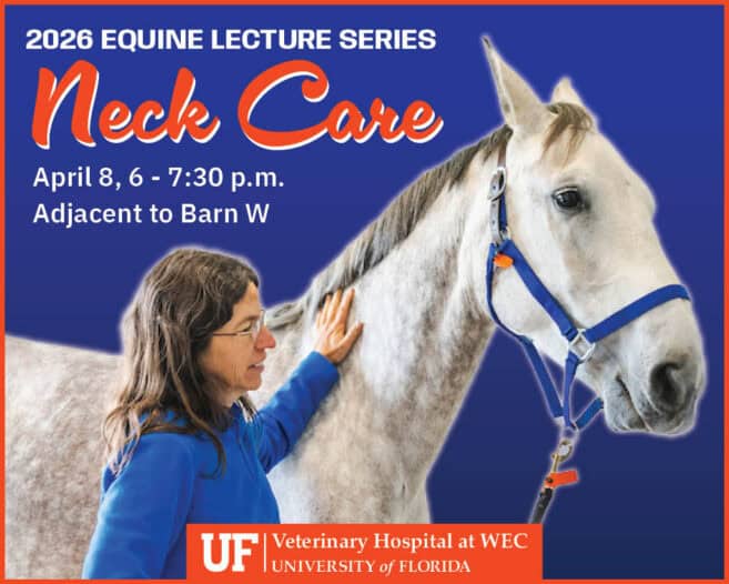 A woman in a blue jacket holds a gray horse by a blue halter. Text promotes a 2026 equine lecture series on neck care at the University of Florida Veterinary Hospital.
