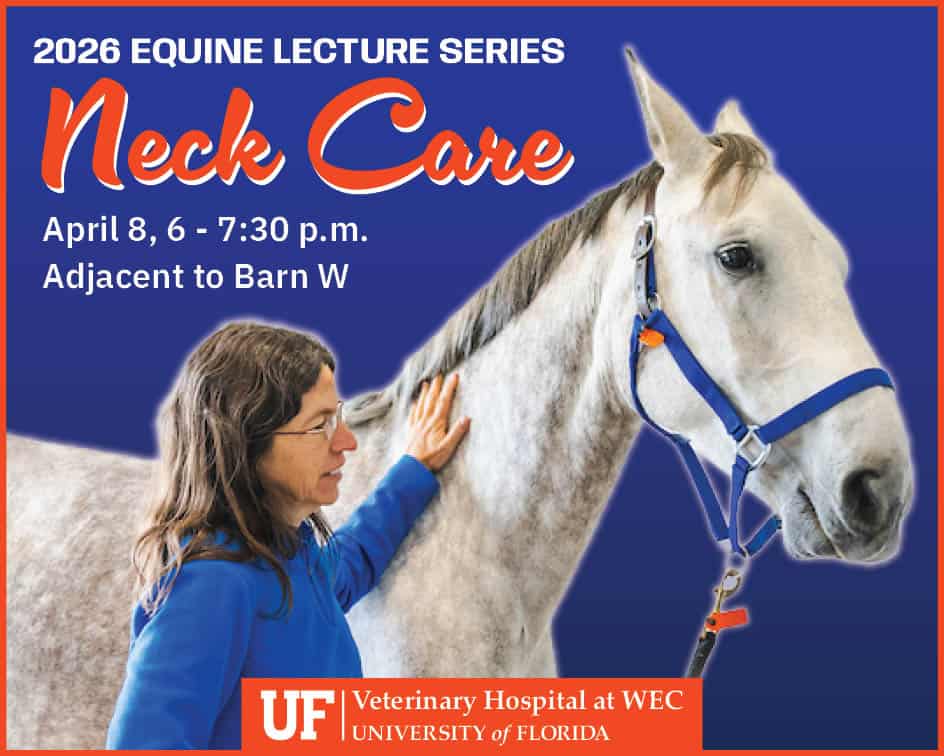 A woman in a blue jacket holds a gray horse by a blue halter. Text promotes a 2026 equine lecture series on neck care at the University of Florida Veterinary Hospital.