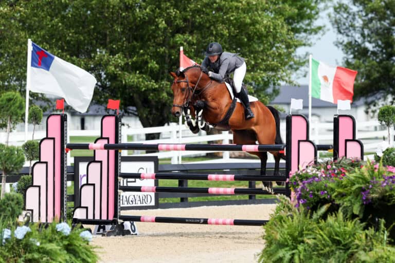 Equestrian rider in helmet and jacket guides a brown horse over a pink and black jump during a show jumping competition. Flags and greenery are visible in the background.