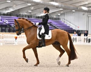 A rider in formal dressage attire rides a chestnut horse indoors, performing a dressage movement in an arena with purple seats in the background.
