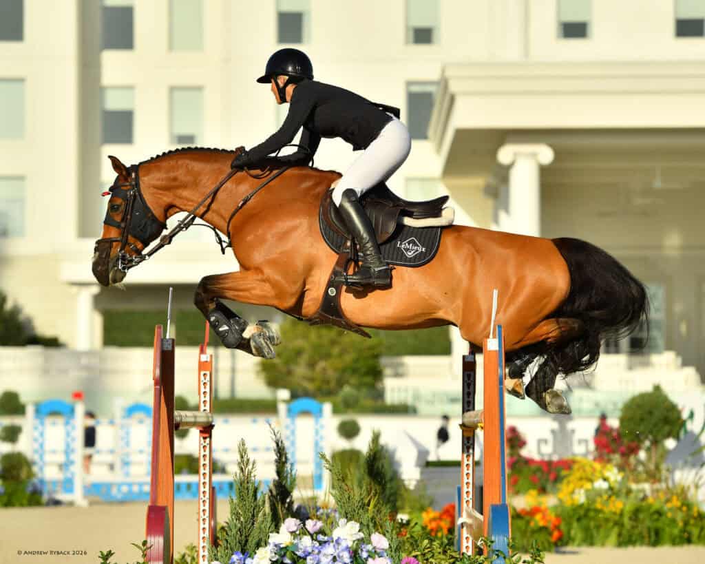 A rider in black and white equestrian gear guides a brown horse over a high jump during a show jumping competition outdoors.