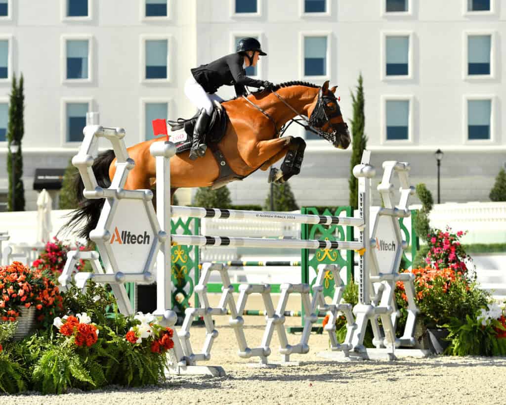 Equestrian rider in a black jacket and helmet jumps a brown horse over a high obstacle during a show jumping competition.