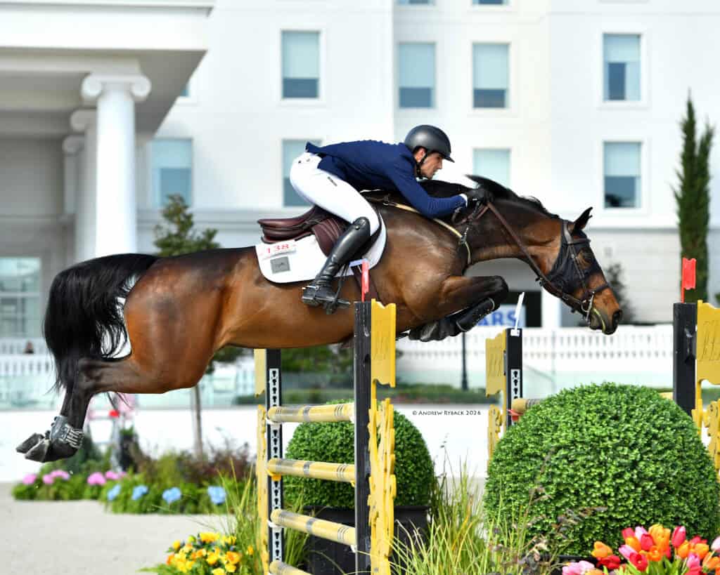 Equestrian rider in a navy uniform and helmet jumps a brown horse over a yellow and black obstacle in an outdoor arena.
