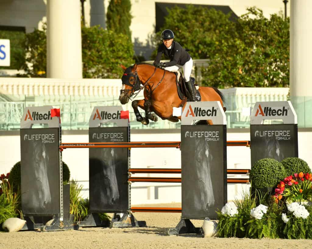 A rider on a brown horse jumps over an obstacle during an equestrian competition, with branded barriers and greenery in the background.