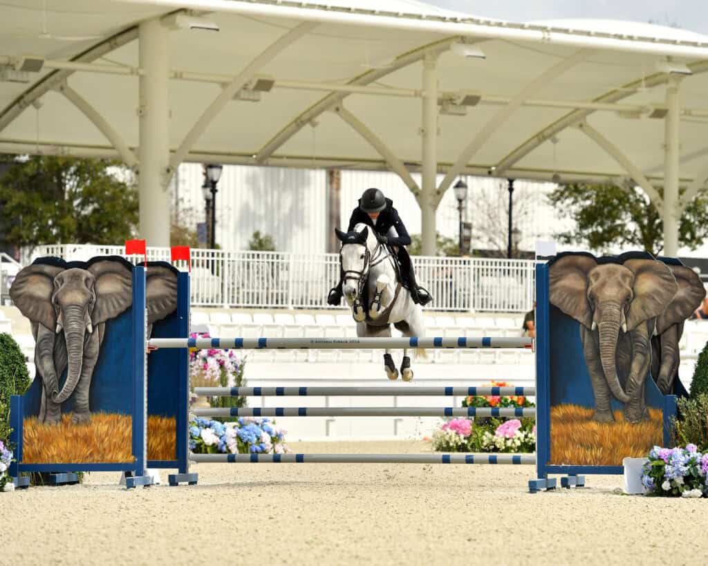 Equestrian rider and horse jump over a blue obstacle decorated with painted elephants during a show jumping competition.
