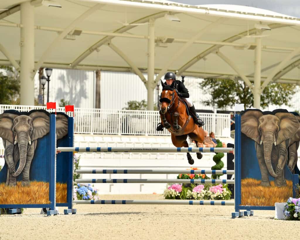 A rider on a brown horse jumps over a blue and white obstacle decorated with elephant images at an outdoor equestrian arena.