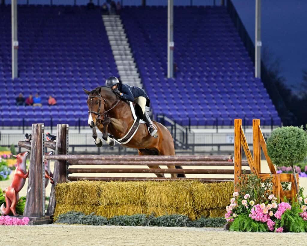 A rider on a brown horse jumps over a hay-covered obstacle in an equestrian arena with empty purple seats in the background.