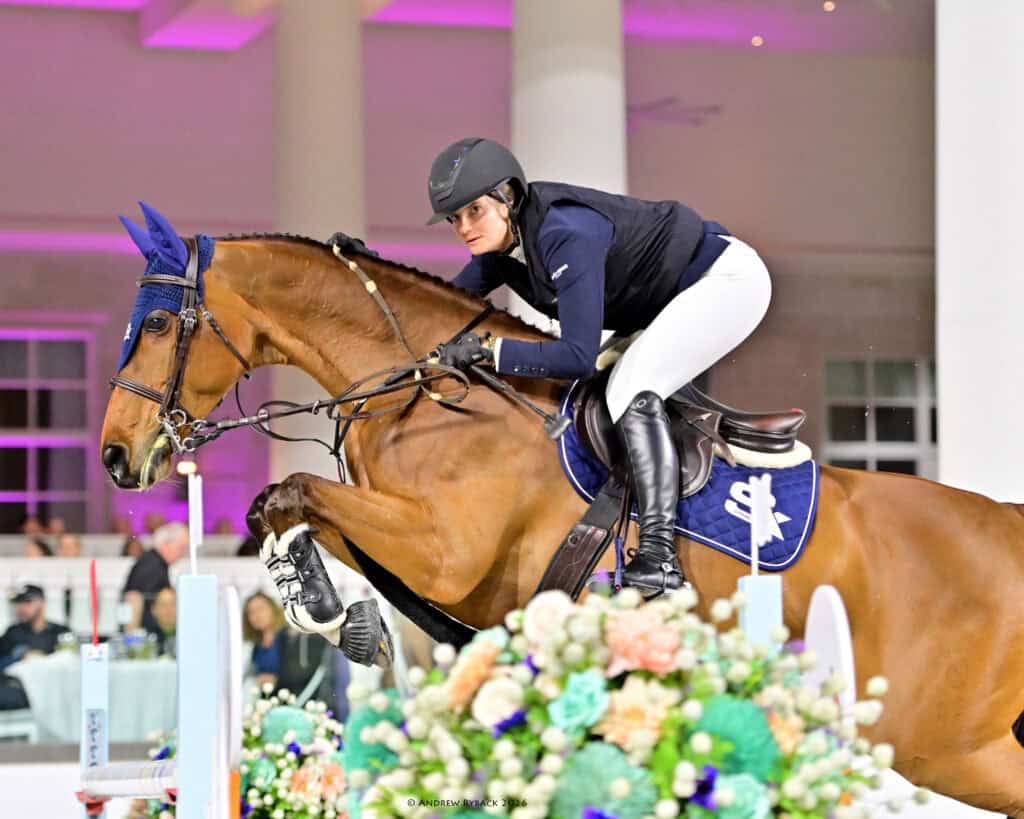 A rider in equestrian gear guides a brown horse over a jump during an indoor show jumping competition.