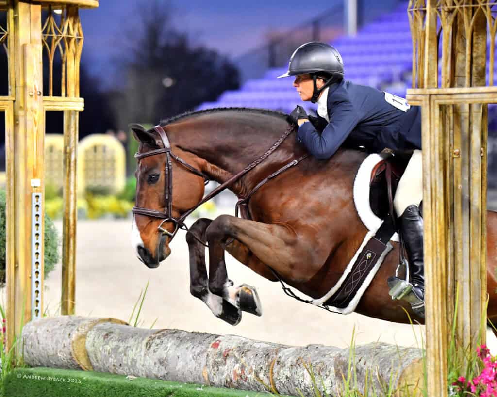 Equestrian rider in a helmet and jacket guides a brown horse over a log jump during a show jumping competition.