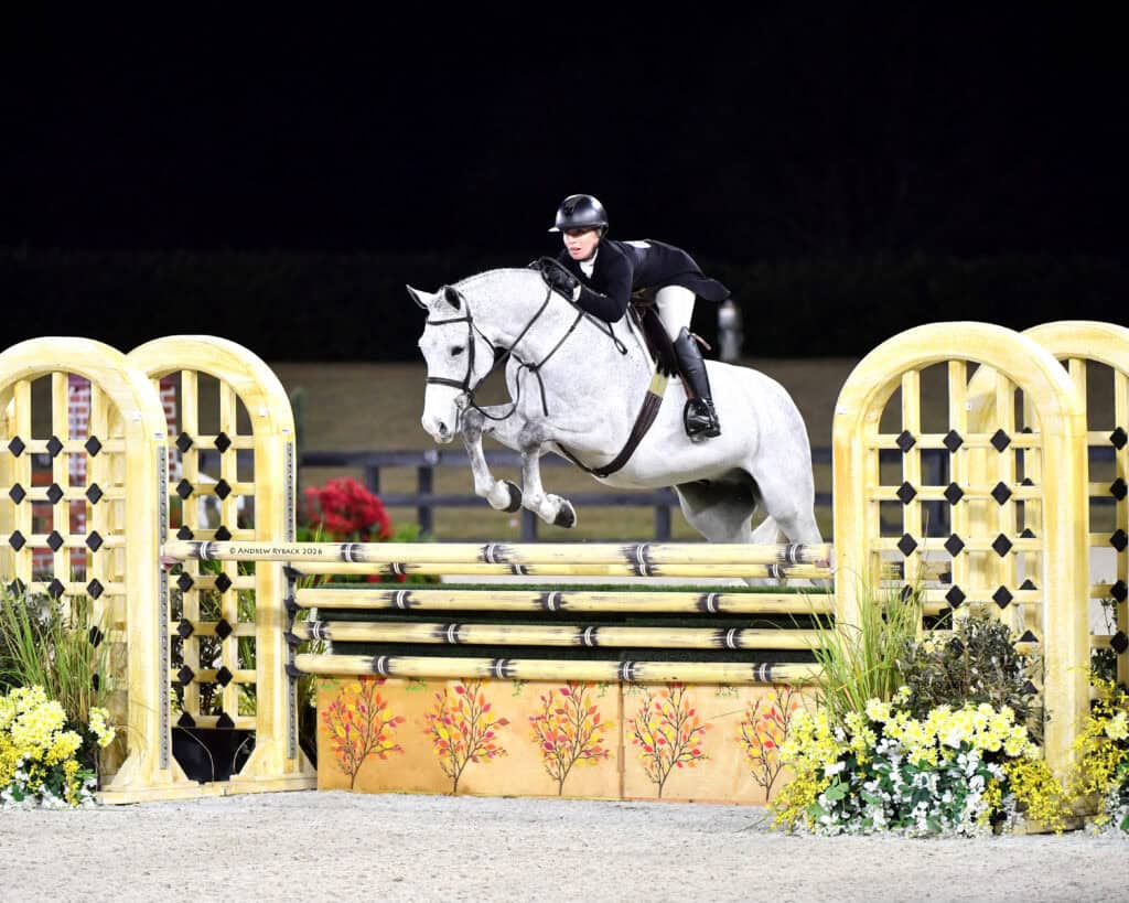A rider in equestrian gear jumps a white horse over a yellow and black show jumping obstacle decorated with flowers.