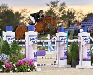A rider on a brown horse jumps over an obstacle during an equestrian show jumping event, with colorful flowers and advertising banners in the background.