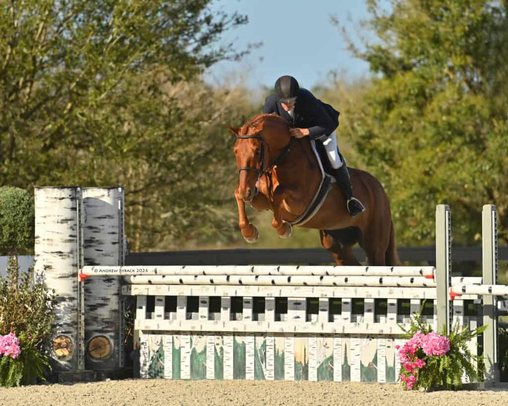 A rider in equestrian attire guides a chestnut horse over a jump during a show jumping competition, with greenery and flowers in the background.