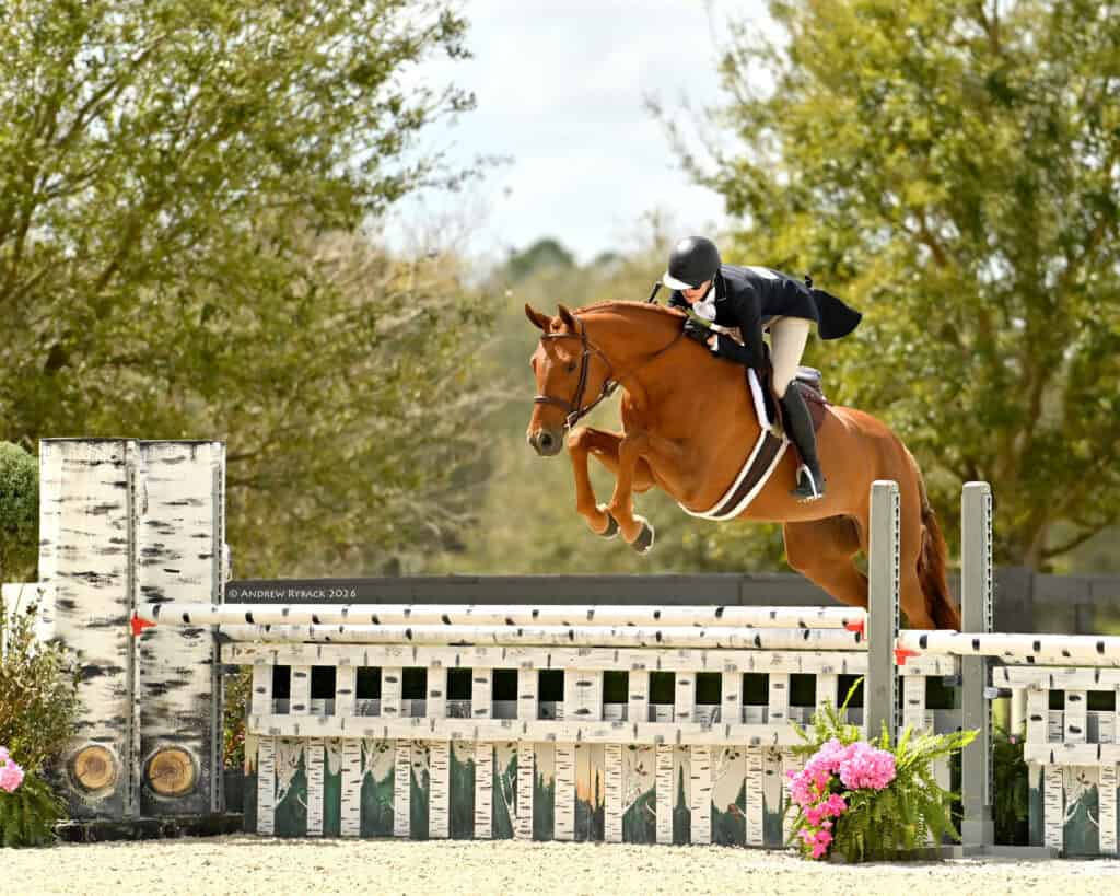 A rider in formal attire jumps a brown horse over a white fence during an equestrian event, with trees and flowers in the background.