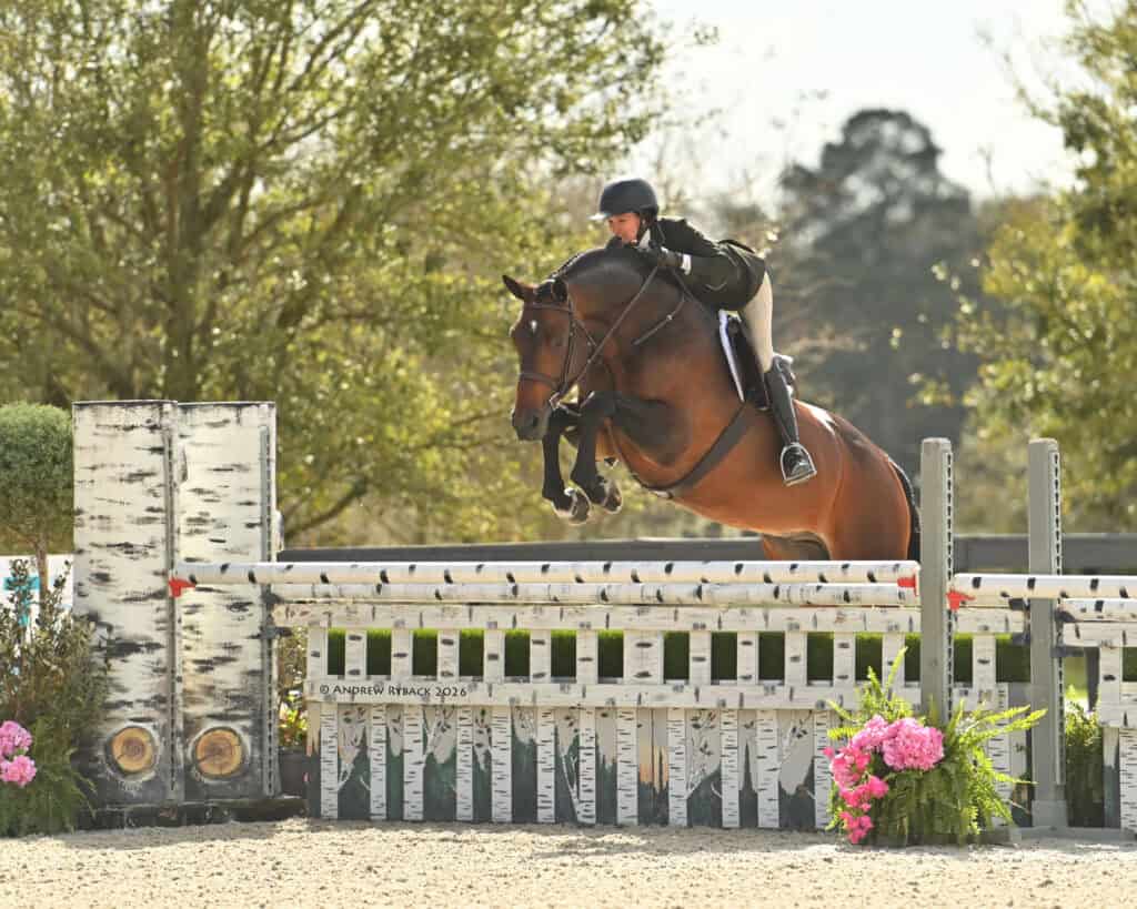 Equestrian rider on a brown horse jumps over a white and black fence during a competition, with trees and flowers in the background.