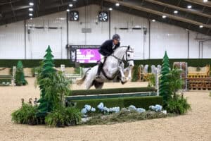 A person riding a white horse jumps over a green obstacle during an indoor equestrian event.