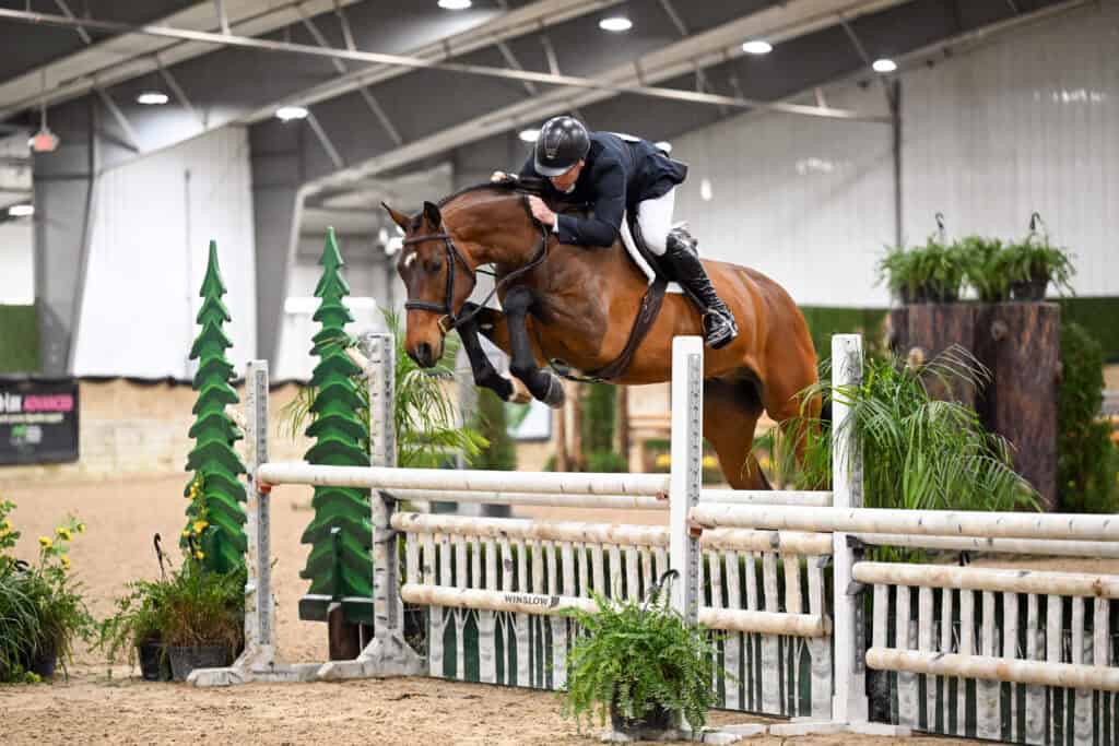 A rider in equestrian gear guides a horse over a jump during an indoor show jumping event, with greenery and decorative obstacles visible.