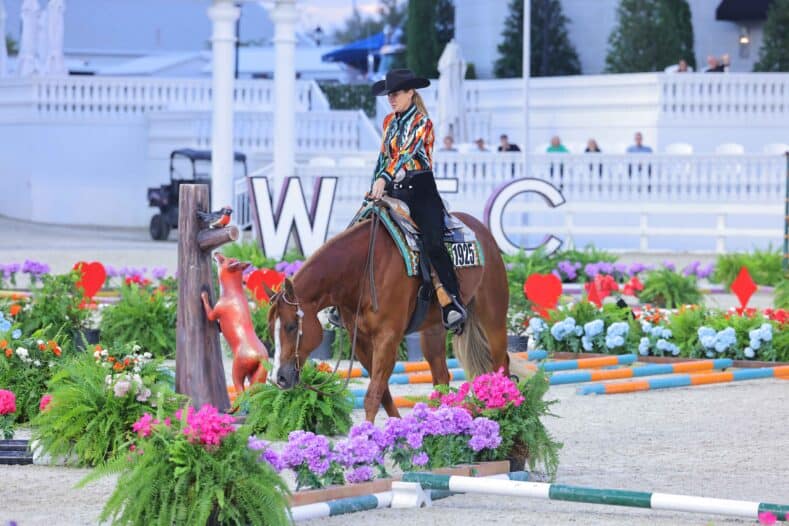 A horseback rider in a colorful shirt and black hat guides a horse through a decorated obstacle course with flowers and animal props at an outdoor arena.