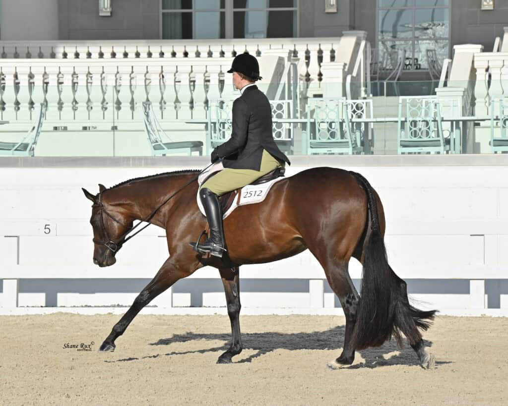 A rider in formal attire guides a bay horse with a braided mane in an outdoor arena during an equestrian competition.