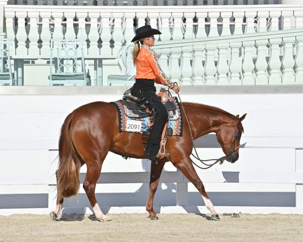 A rider in an orange shirt and black hat shows a chestnut horse in a Western riding event in an outdoor arena.