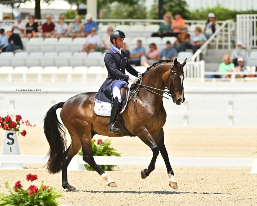 A rider in formal dressage attire guides a brown horse in an arena during a dressage competition, with spectators seated in the background.