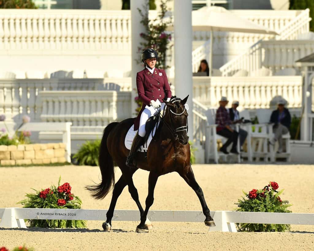 Equestrian rider in a maroon jacket and black helmet guides a dark horse in a dressage arena, with white railings and spectators in the background.