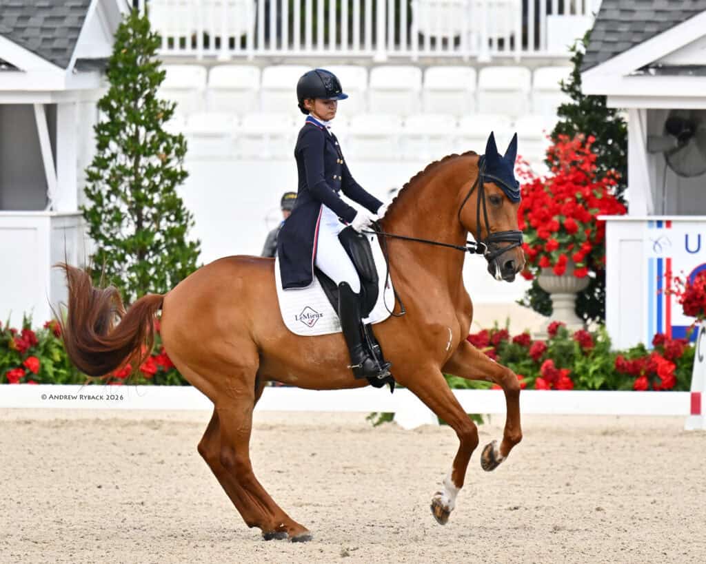 A rider in formal equestrian attire performs dressage on a chestnut horse in an outdoor arena with red flowers and white seating in the background.