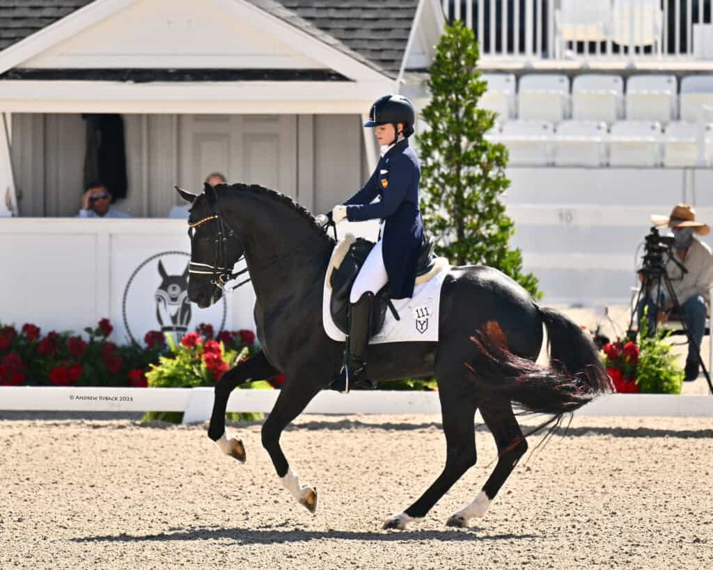 A rider in formal dressage attire performs on a dark horse in an outdoor arena, with spectators and a judge’s booth in the background.