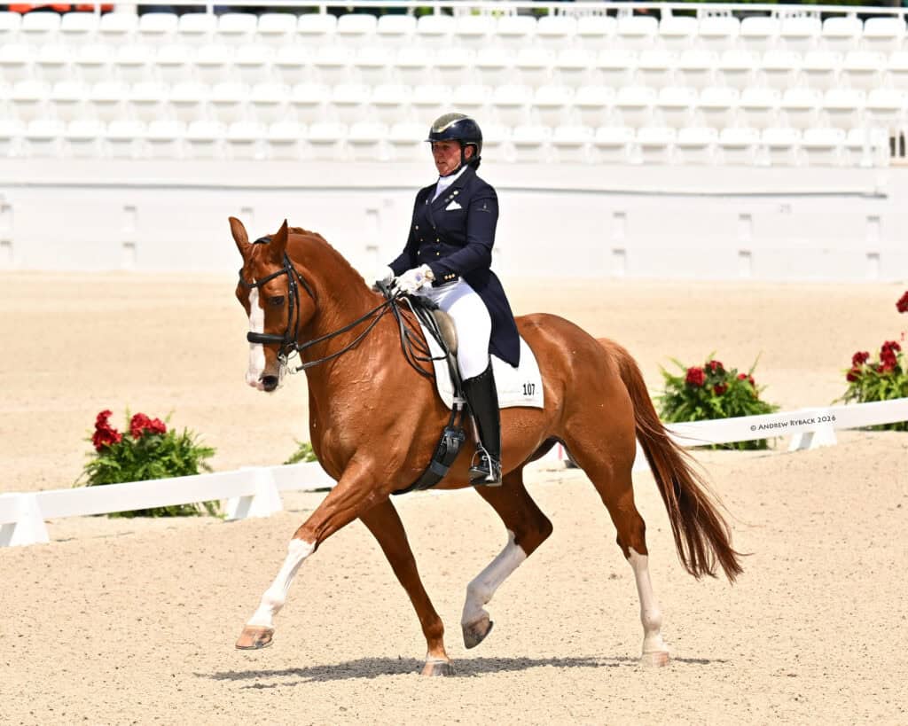 A rider in formal equestrian attire guides a chestnut horse in a dressage arena with empty white bleachers in the background.
