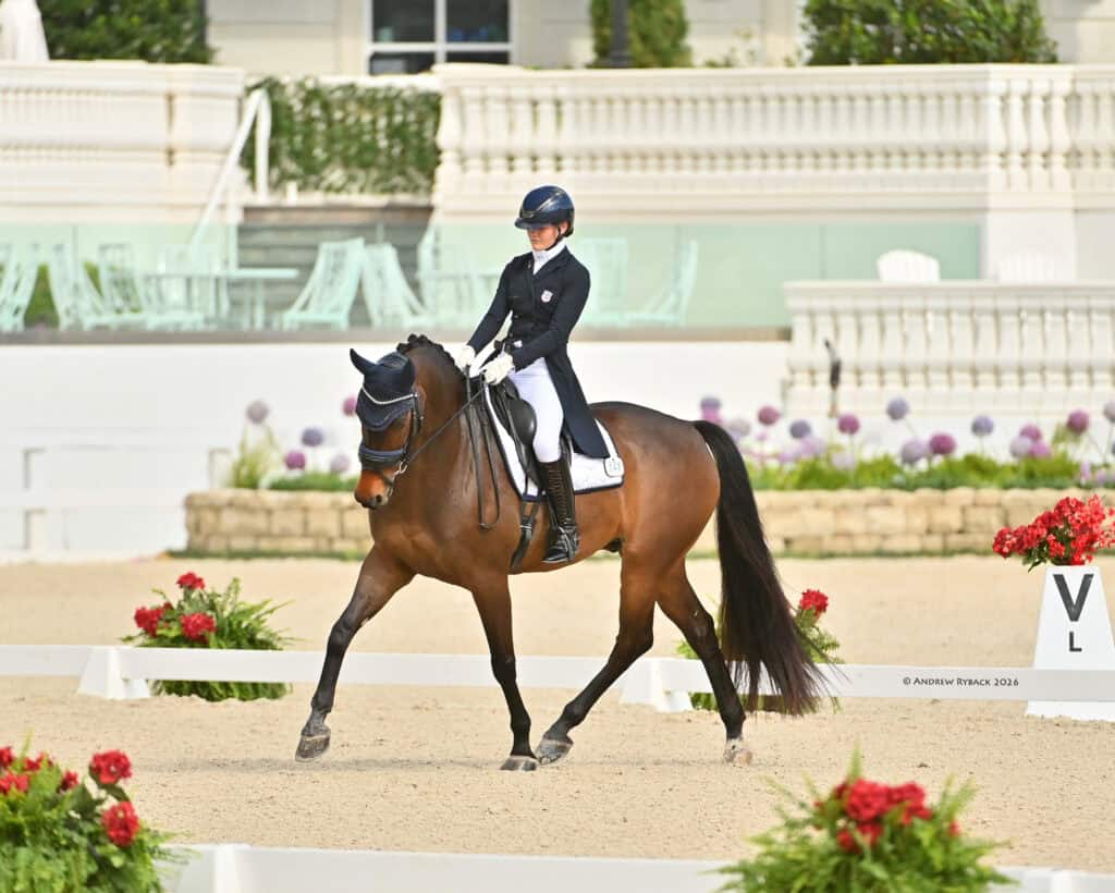 A person in formal riding attire performs dressage on a bay horse in an outdoor arena with flowers and white railings.