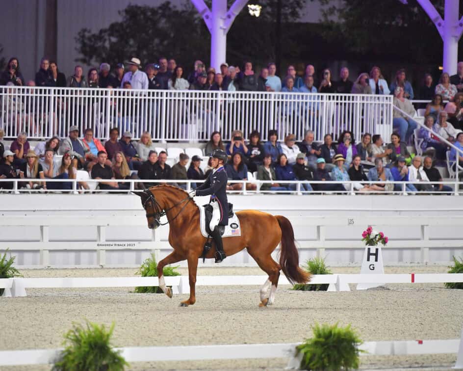 A rider in formal attire performs dressage on a chestnut horse in an arena, with a crowd seated in the stands behind them.