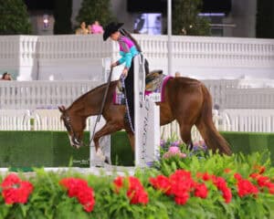 A rider in a colorful outfit and black hat guides a brown horse over a white pole in an arena decorated with flowers and greenery.