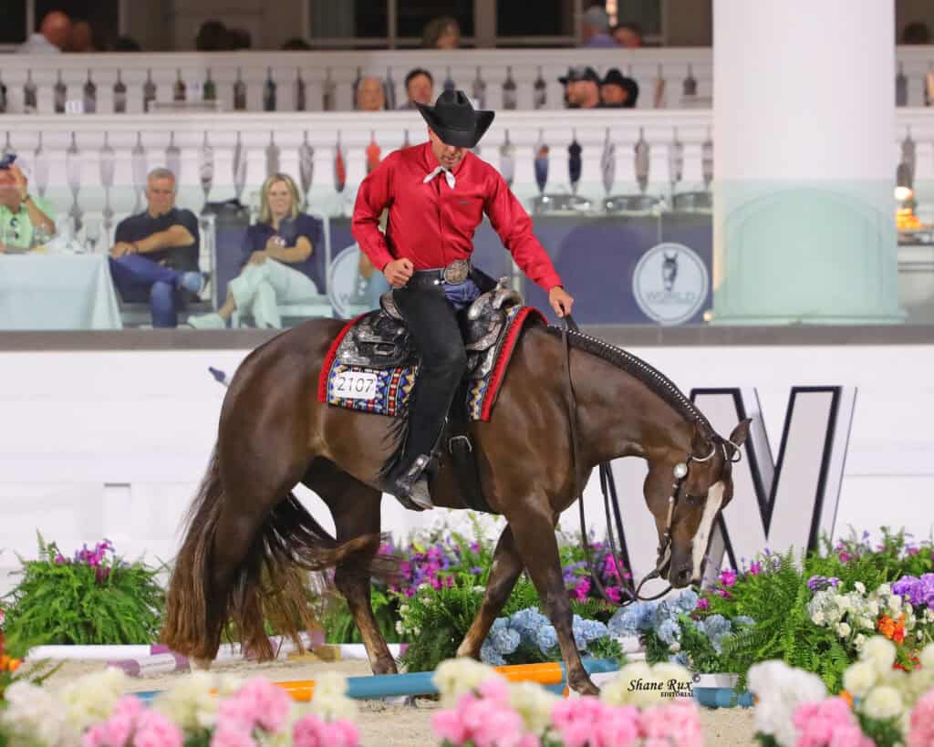 A rider in a red shirt and black hat guides a brown horse through an indoor equestrian event, with spectators seated in the background.