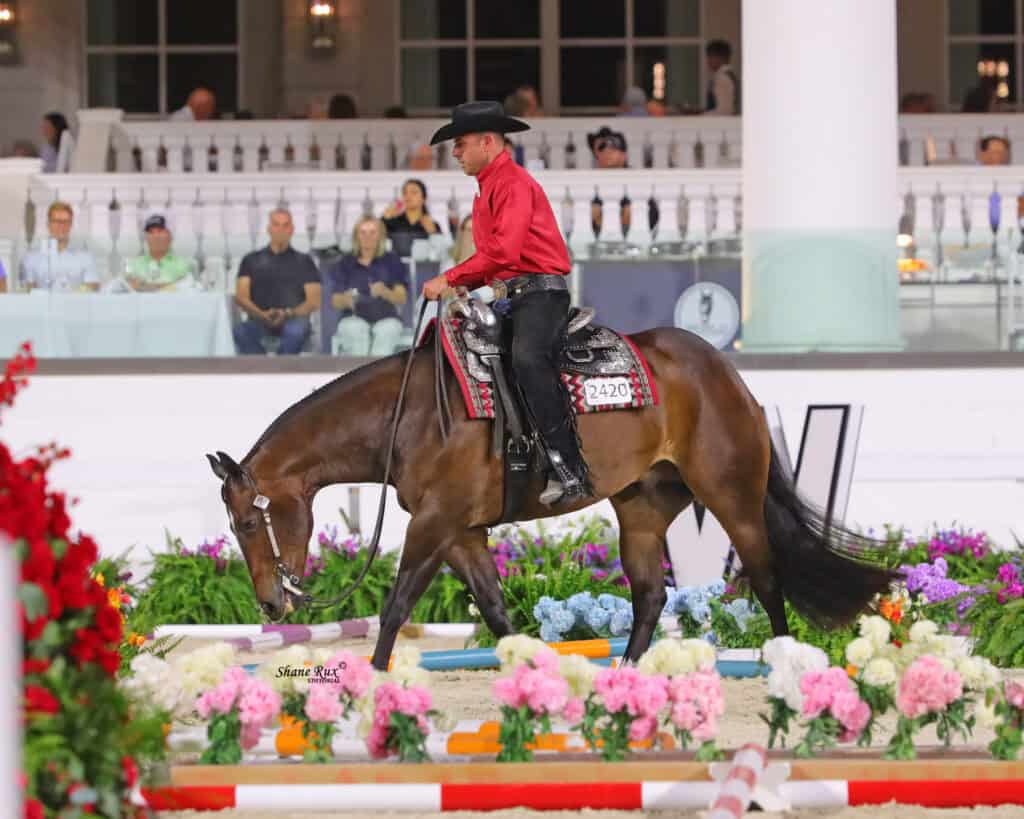 A rider in a red shirt and black hat guides a brown horse through an arena decorated with flowers and colored poles, with spectators seated in the background.