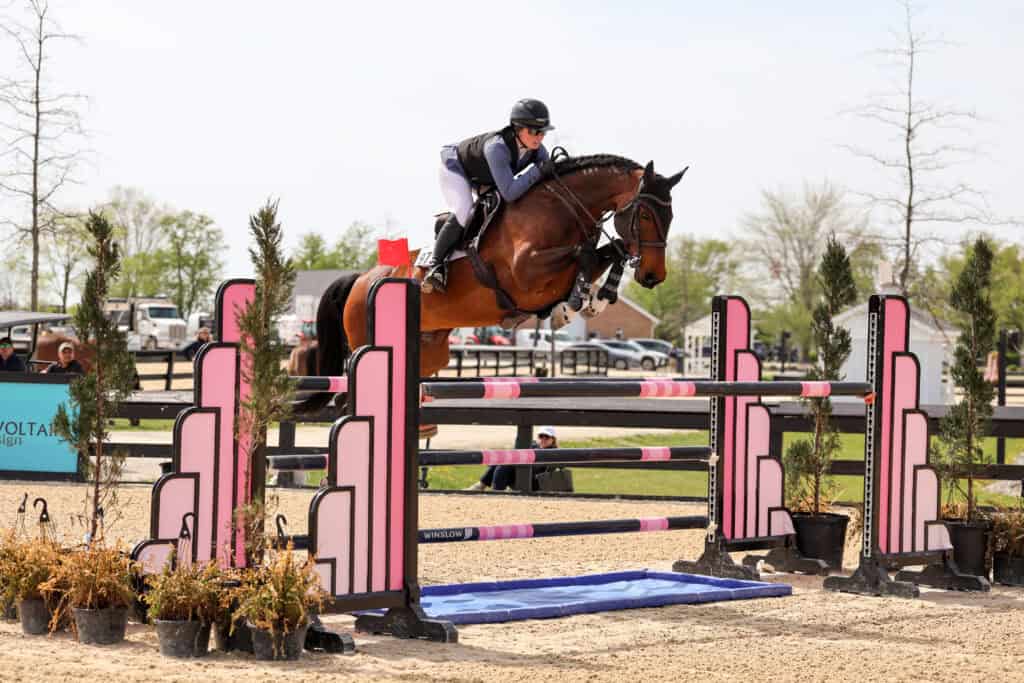 A rider in equestrian gear jumps a brown horse over a pink and black obstacle during a show jumping competition outdoors.
