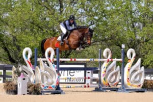 A rider in equestrian gear guides a horse over a colorful show jumping obstacle decorated with swan designs during a competition.