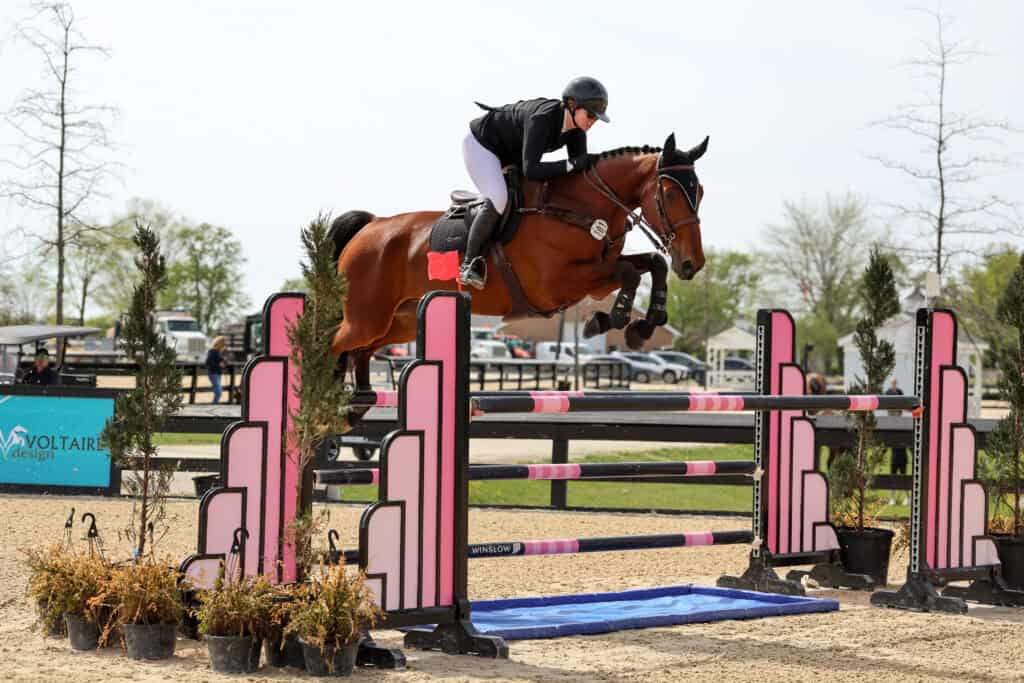 Equestrian rider in helmet and jacket guides a brown horse over a high jump obstacle during a show jumping competition outdoors.