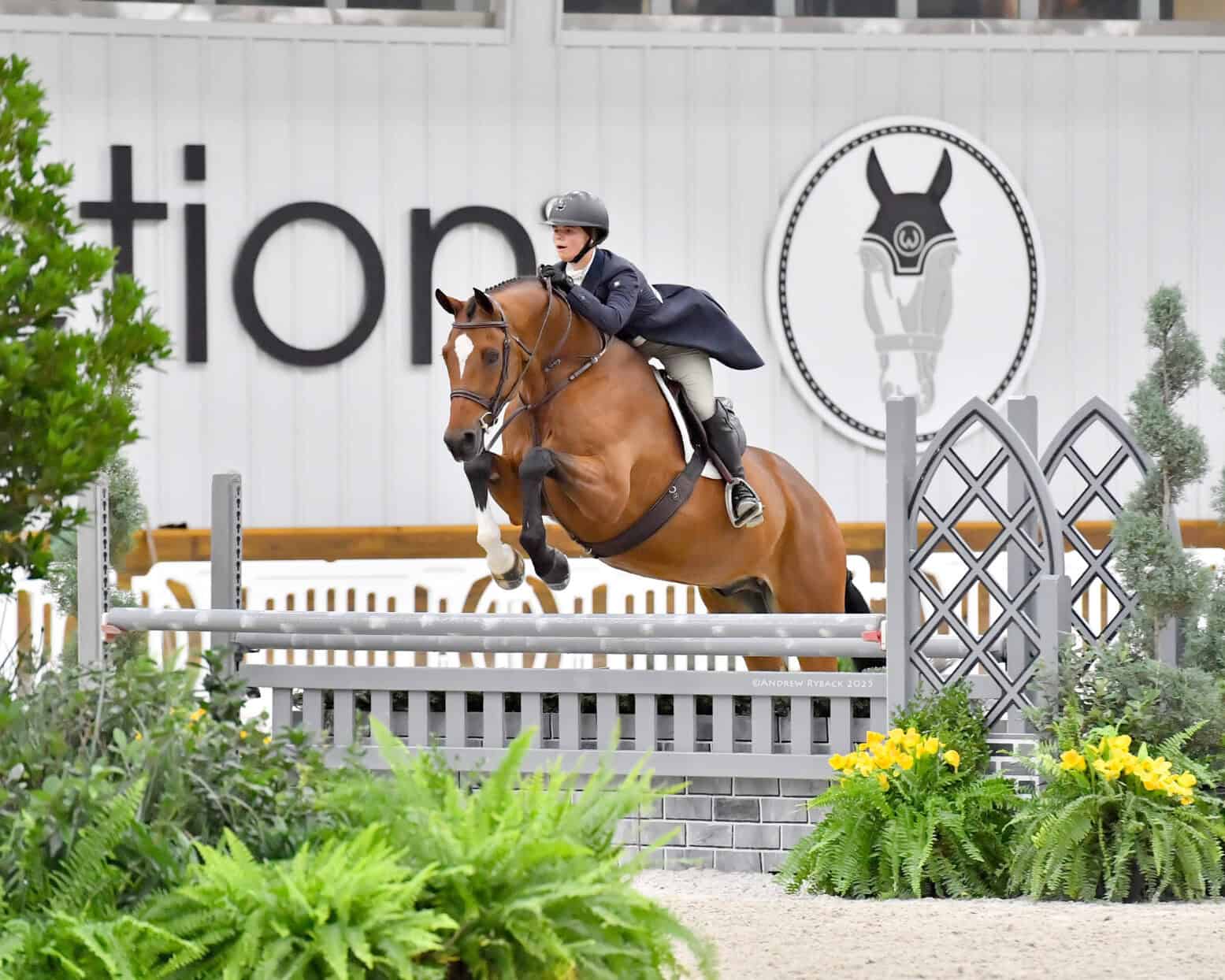 Equestrian rider in formal attire jumps a brown horse over an obstacle in an indoor arena with greenery in the foreground.